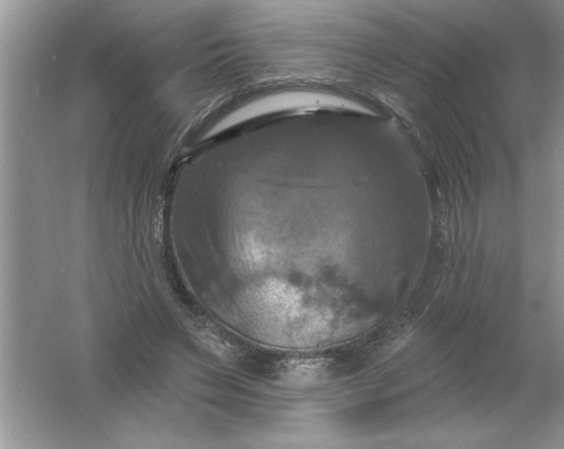 X0000061750495200512161720