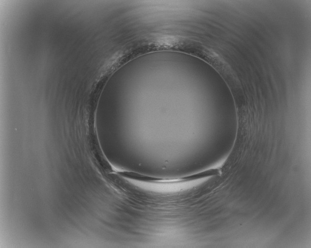 X0000061750496200512161720