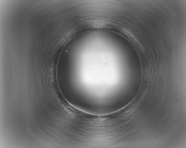 X0000061750497200512161720