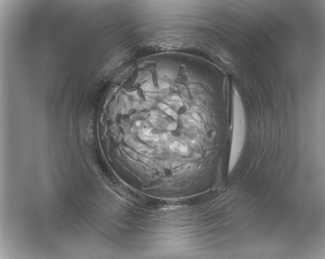 X0000061750499200512161720