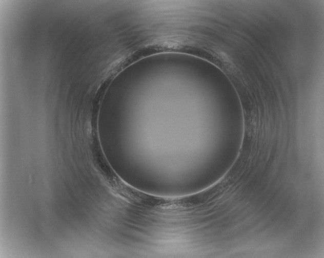 X0000061750500200512161720