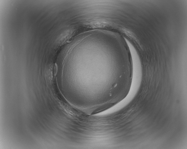 X0000061750501200512161720