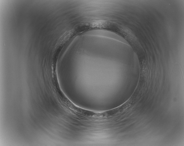 X0000061750502200512161720