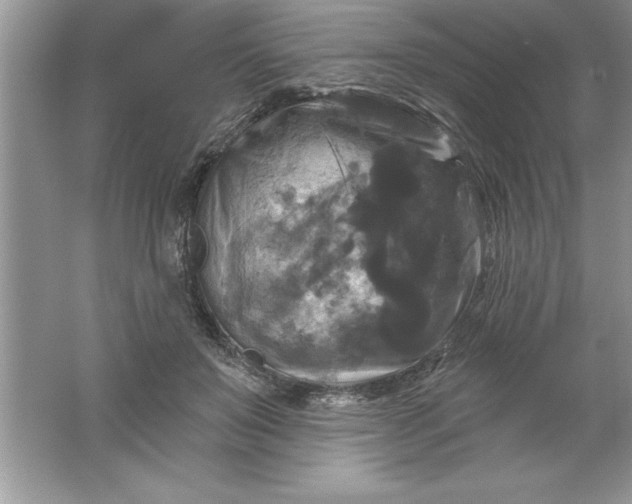 X0000061750503200512161720