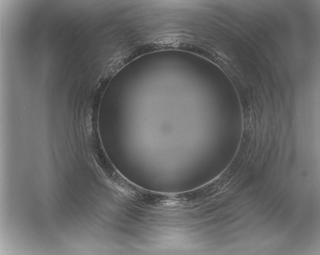 X0000061750504200512161720