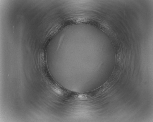 X0000061750506200512161720