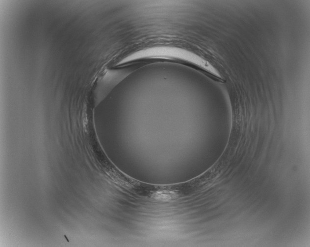 X0000061750508200512161720