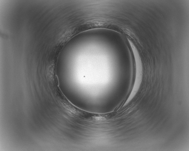 X0000061750509200512161720