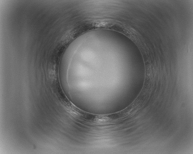 X0000061750510200512161720