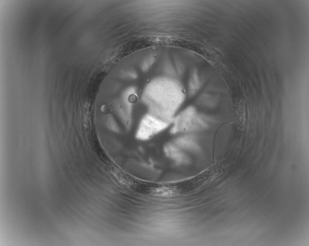 X0000061750511200512161720