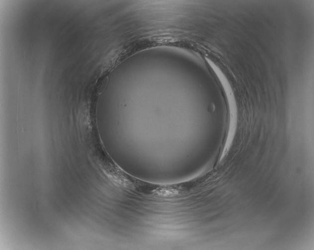 X0000061750512200512161720