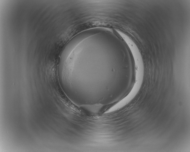 X0000061750513200512161720