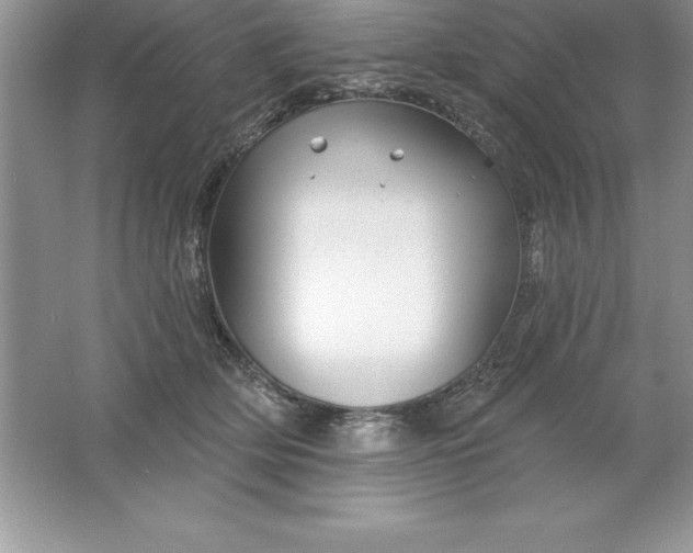 X0000061750514200512161720