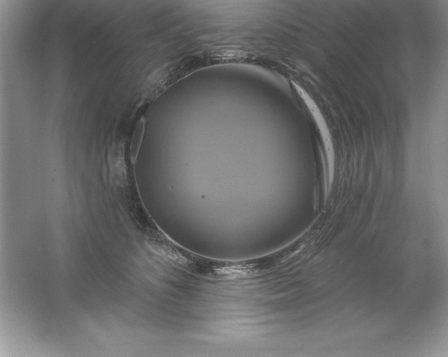 X0000061750516200512161720