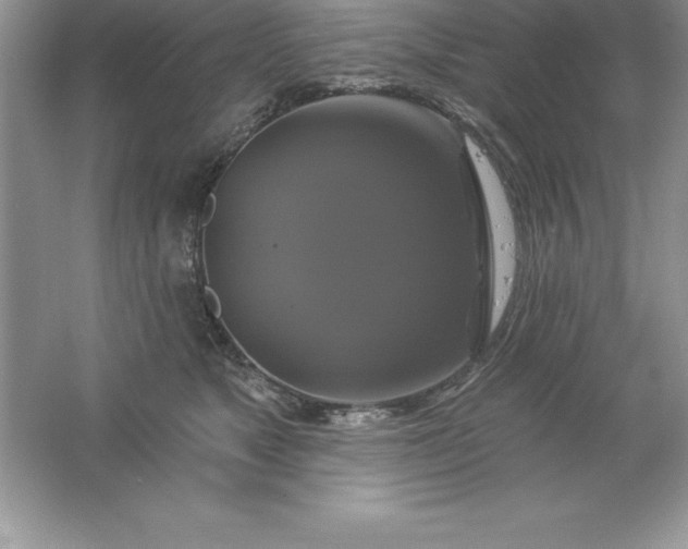 X0000061750517200512161720