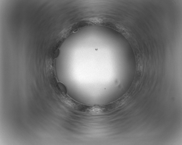 X0000061750518200512161720