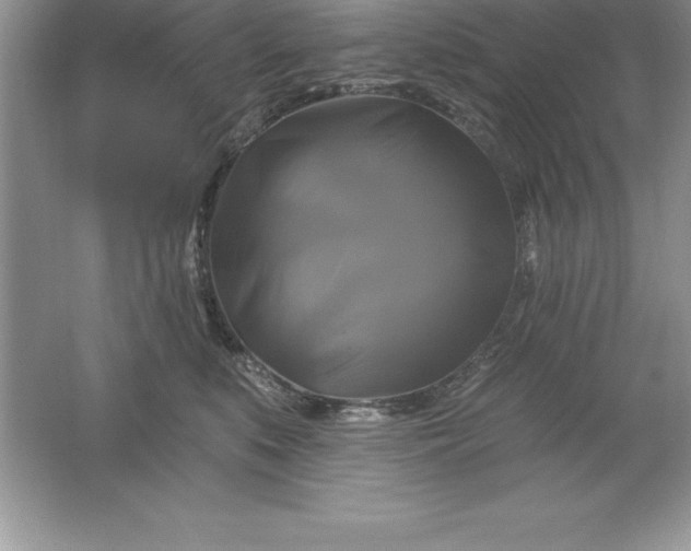 X0000061750519200512161720