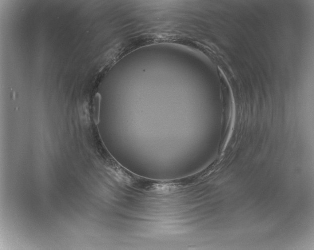 X0000061750520200512161720