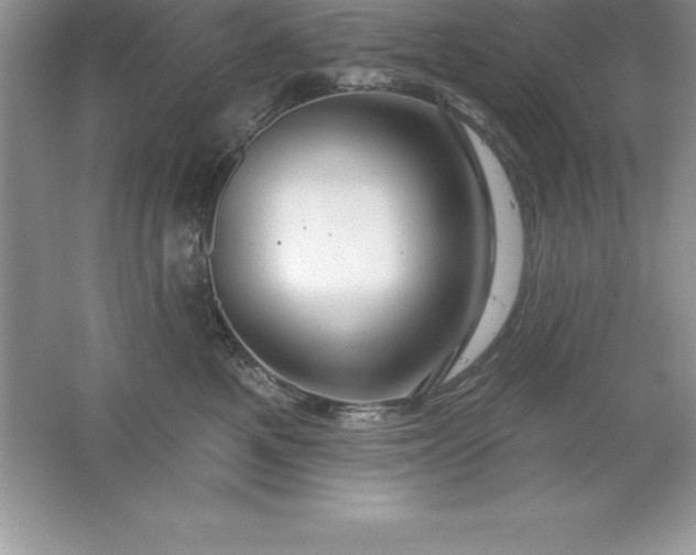 X0000061750521200512161720