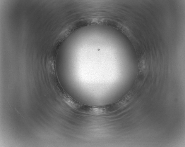 X0000061750522200512161720