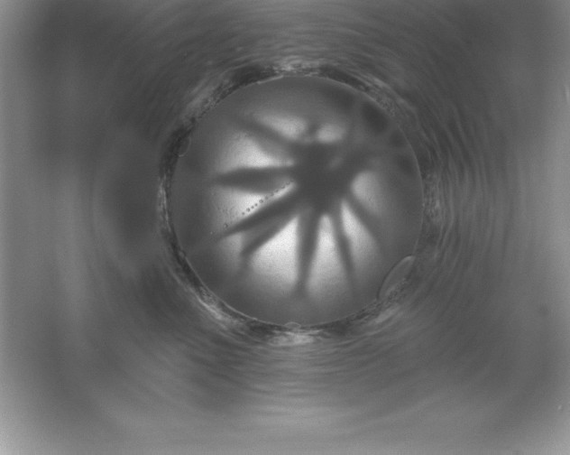 X0000061750523200512161720