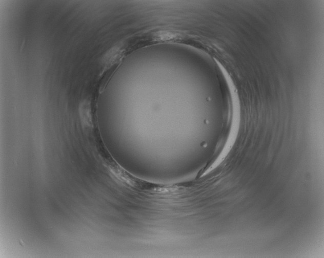 X0000061750524200512161720