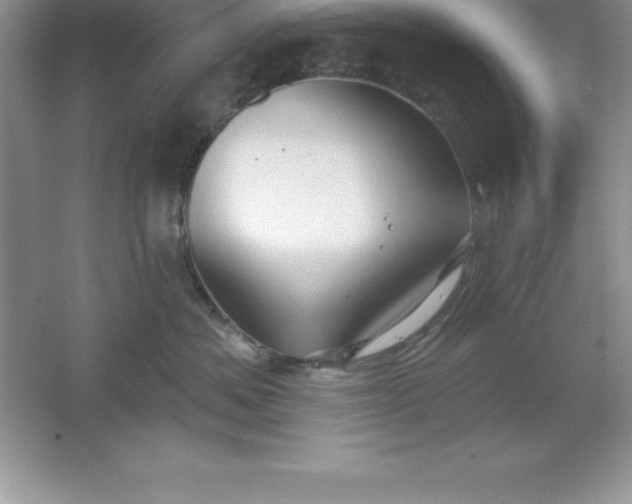 X0000061750525200512161720