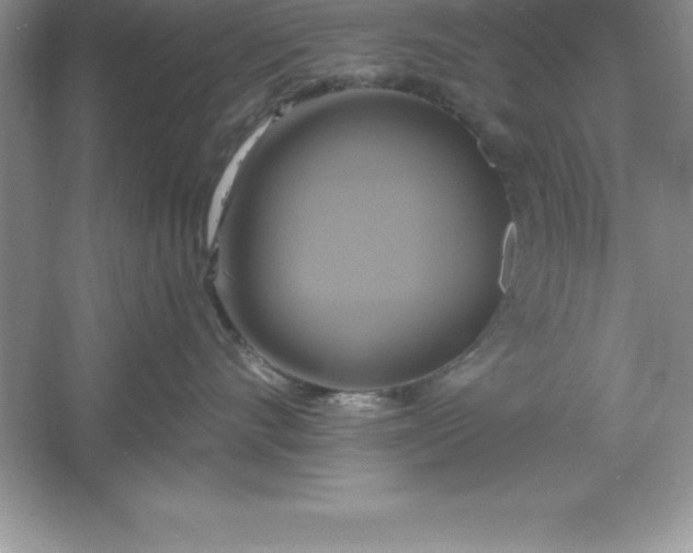 X0000061750528200512161720