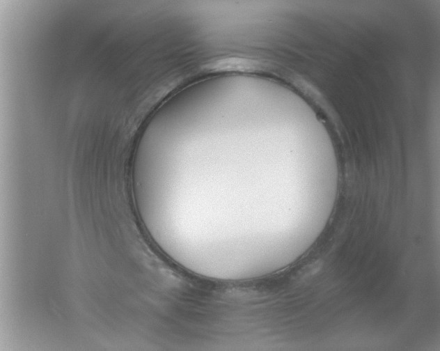 X0000061750529200512161719