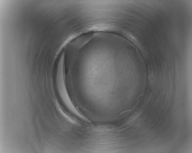 X0000061750530200512161719