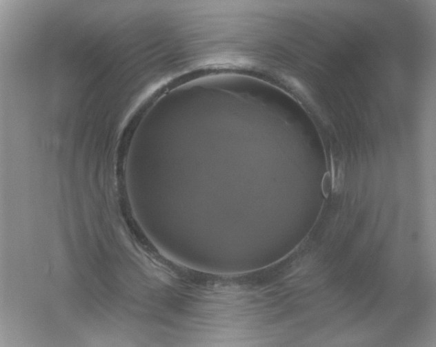 X0000061750531200512161719