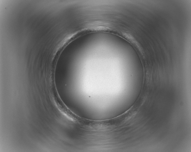 X0000061750533200512161719