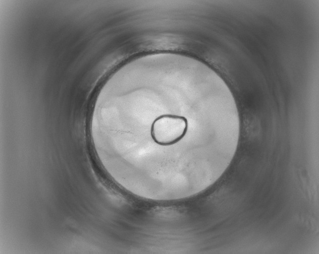 X0000061750534200512161719