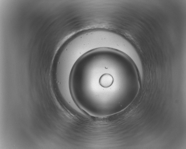 X0000061750536200512161719