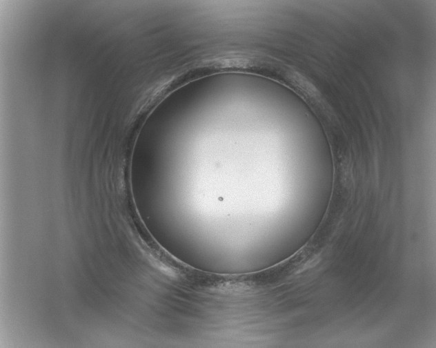 X0000061750537200512161719