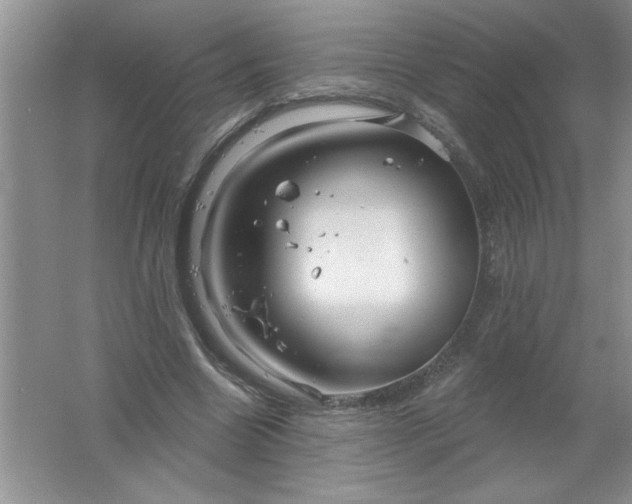 X0000061750538200512161719