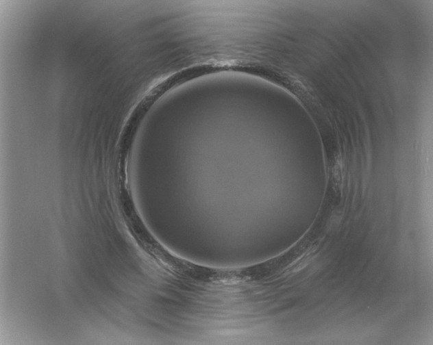 X0000061750540200512161719