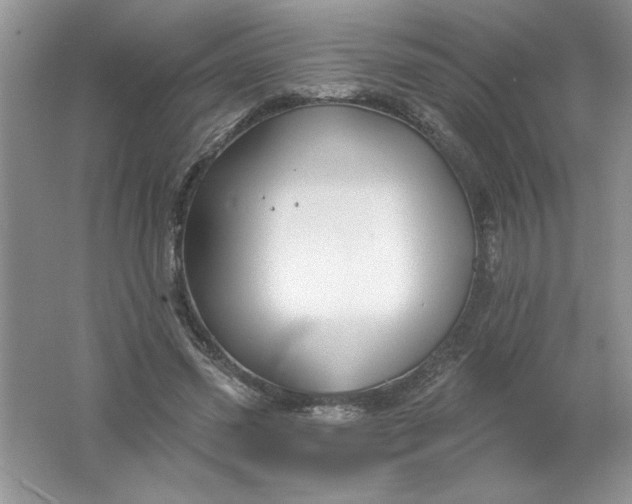 X0000061750541200512161719