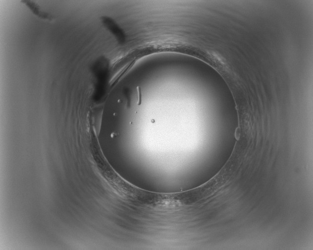 X0000061750543200512161719