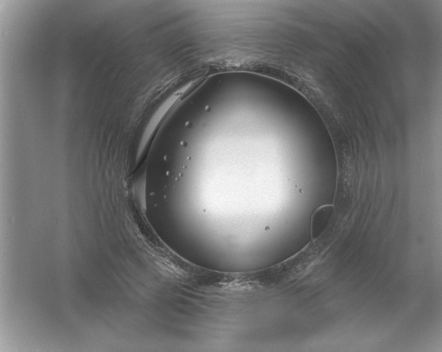 X0000061750545200512161719