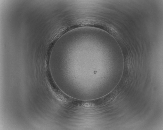 X0000061750546200512161719