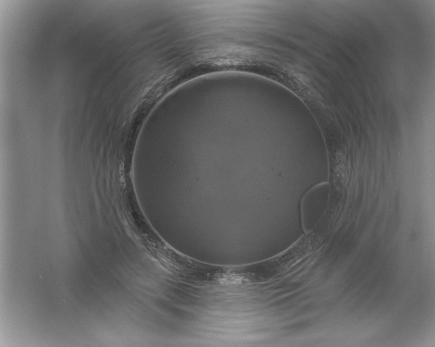 X0000061750547200512161719