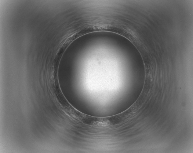 X0000061750548200512161719