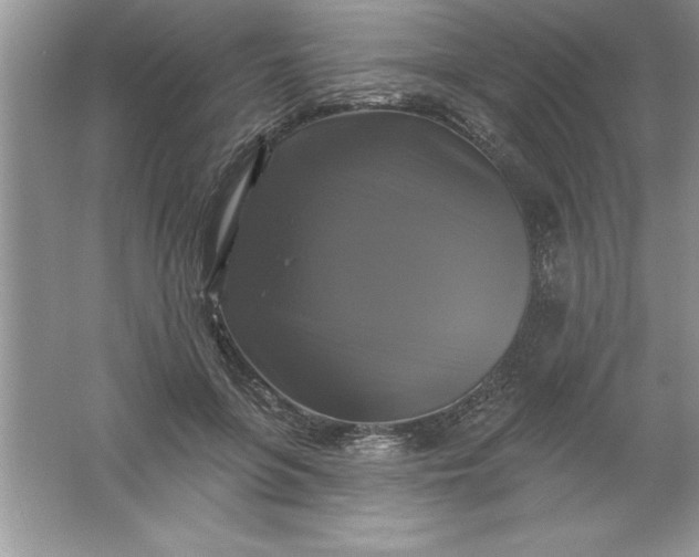 X0000061750551200512161719