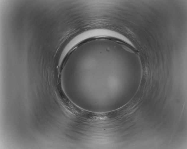 X0000061750552200512161719