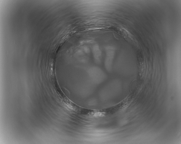 X0000061750553200512161719