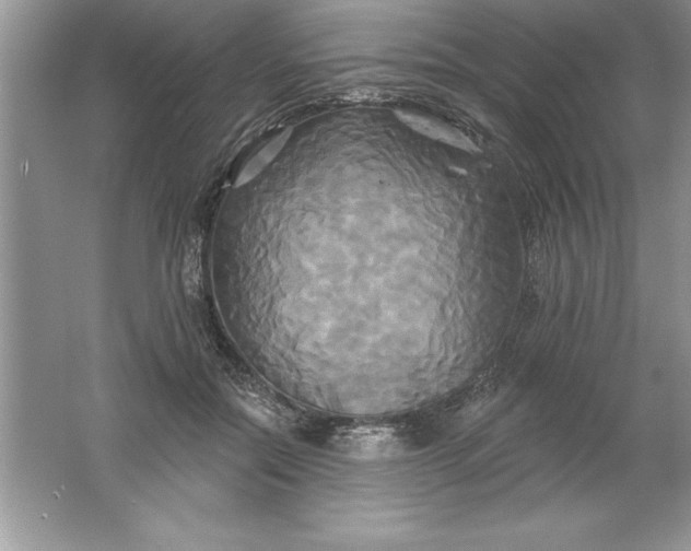 X0000061750554200512161719