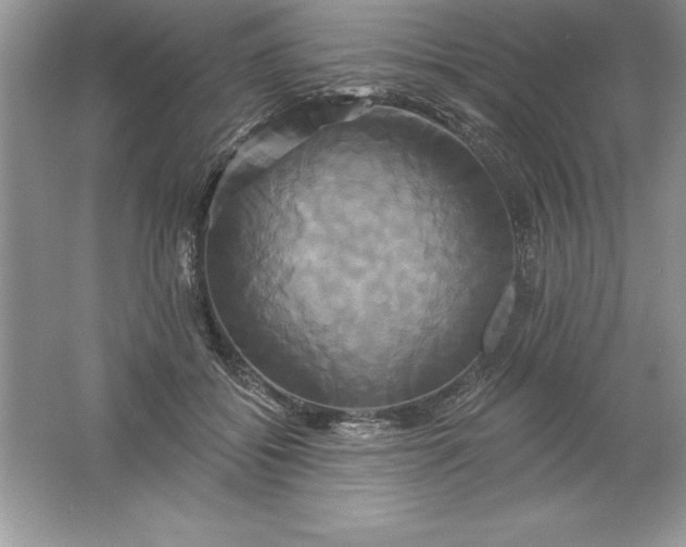 X0000061750556200512161719