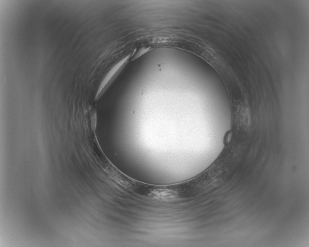 X0000061750557200512161720