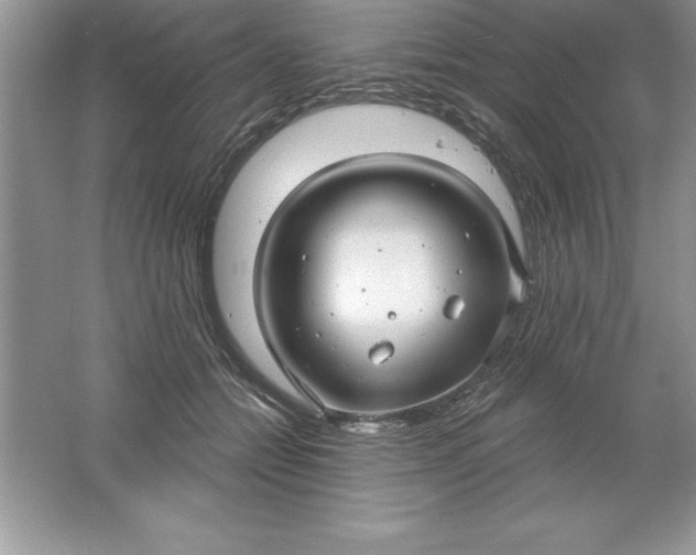 X0000061750558200512161720